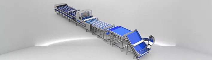 SẮP XẾP MÀU NGÀY